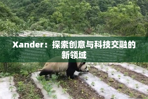 Xander：探索创意与科技交融的新领域