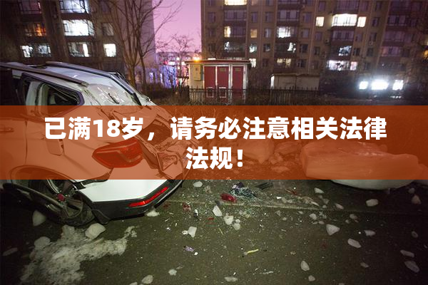 已满18岁，请务必注意相关法律法规！