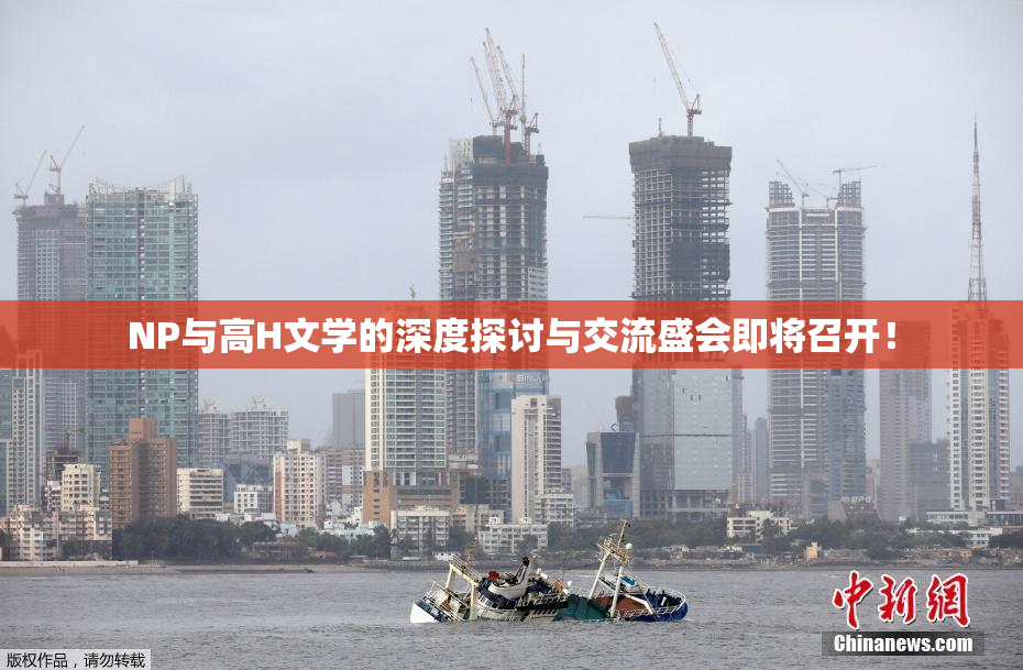 NP与高H文学的深度探讨与交流盛会即将召开！