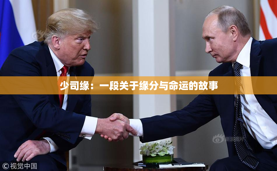 少司缘：一段关于缘分与命运的故事