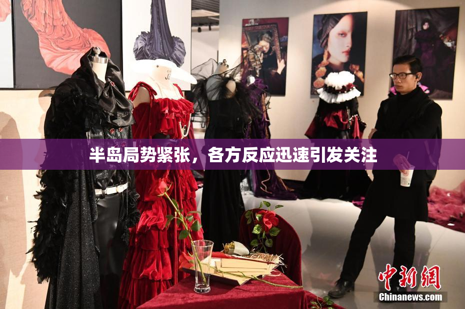 半岛局势紧张，各方反应迅速引发关注