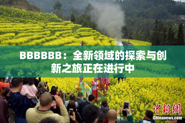 BBBBBB：全新领域的探索与创新之旅正在进行中