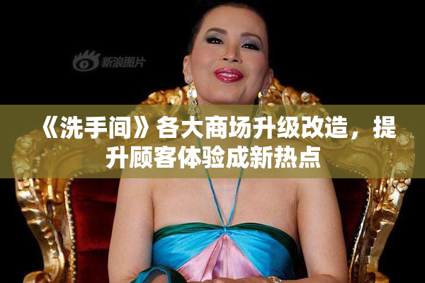 《洗手间》各大商场升级改造，提升顾客体验成新热点