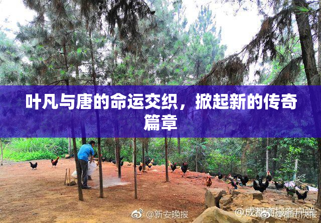 叶凡与唐的命运交织，掀起新的传奇篇章
