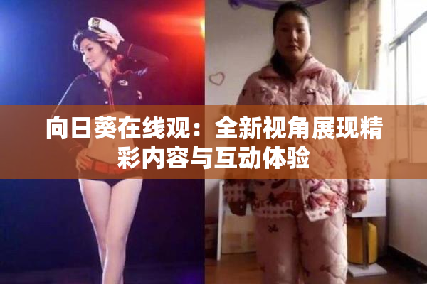 向日葵在线观：全新视角展现精彩内容与互动体验