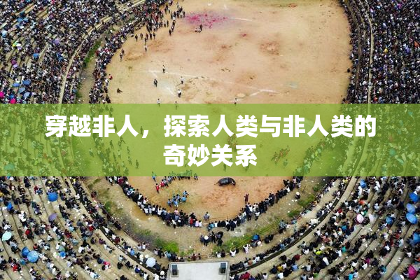 穿越非人，探索人类与非人类的奇妙关系
