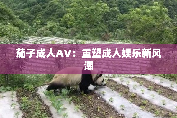 茄子成人AV：重塑成人娱乐新风潮