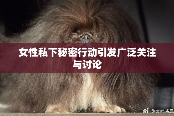 女性私下秘密行动引发广泛关注与讨论