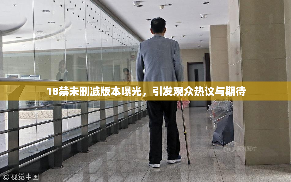 18禁未删减版本曝光，引发观众热议与期待
