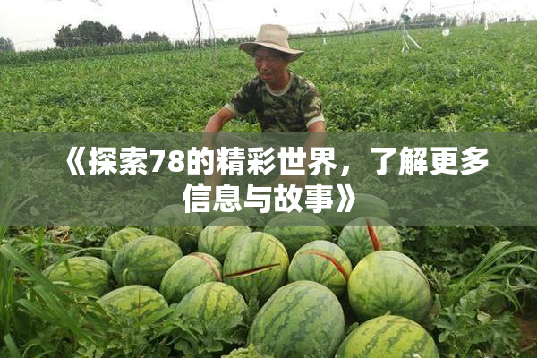 《探索78的精彩世界，了解更多信息与故事》