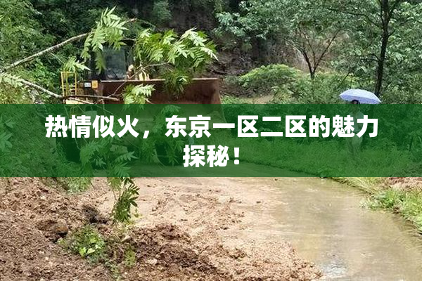 热情似火，东京一区二区的魅力探秘！