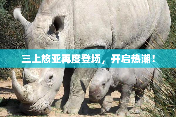 三上悠亚再度登场，开启热潮！