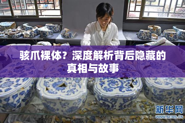 骇爪裸体？深度解析背后隐藏的真相与故事