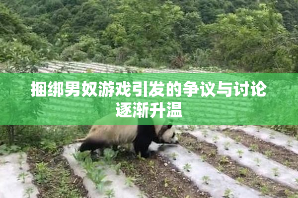 捆绑男奴游戏引发的争议与讨论逐渐升温