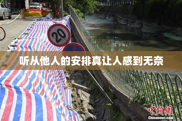 听从他人的安排真让人感到无奈