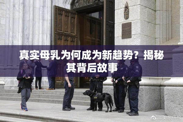 真实母乳为何成为新趋势？揭秘其背后故事