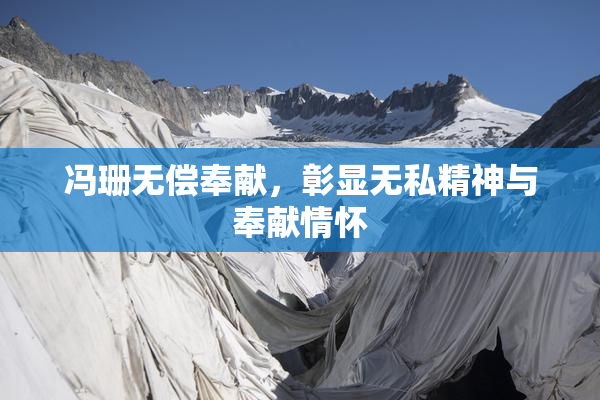 冯珊无偿奉献，彰显无私精神与奉献情怀