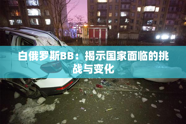 白俄罗斯BB：揭示国家面临的挑战与变化