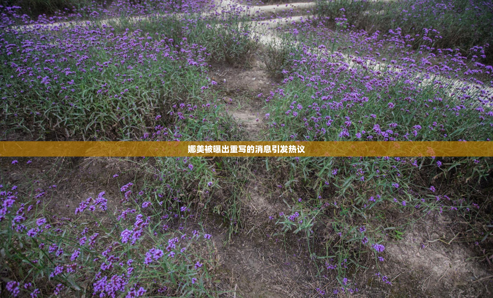娜美被曝出重写的消息引发热议