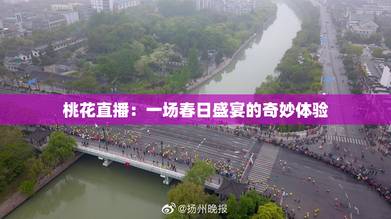 桃花直播：一场春日盛宴的奇妙体验