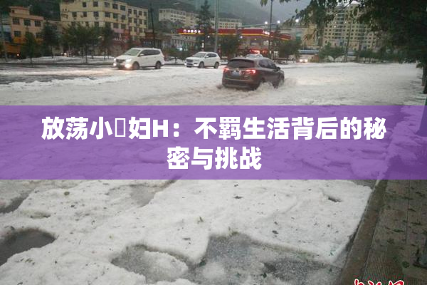 放荡小婬妇H：不羁生活背后的秘密与挑战