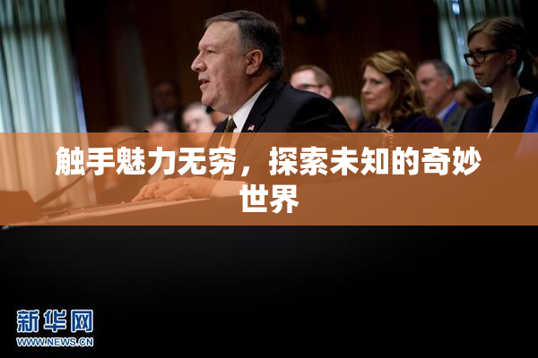触手魅力无穷，探索未知的奇妙世界