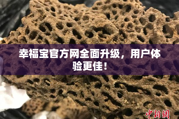 幸福宝官方网全面升级，用户体验更佳！