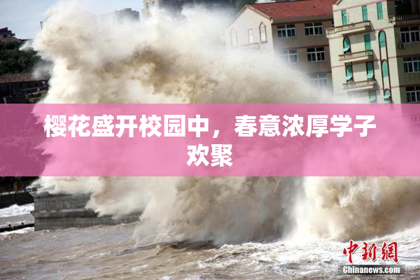 樱花盛开校园中，春意浓厚学子欢聚