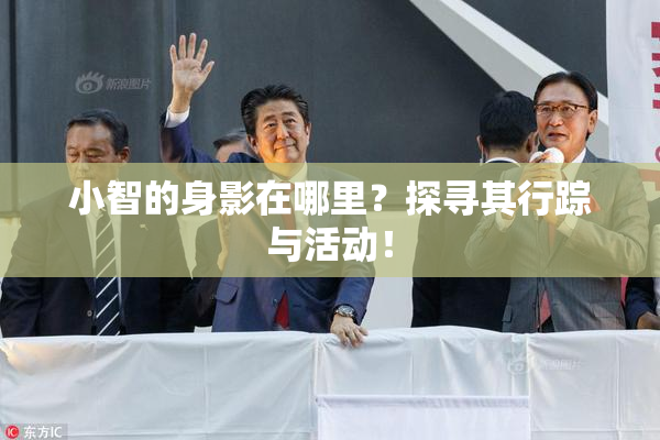 小智的身影在哪里？探寻其行踪与活动！