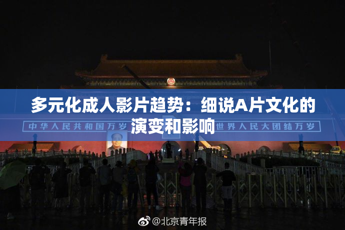 多元化成人影片趋势：细说A片文化的演变和影响