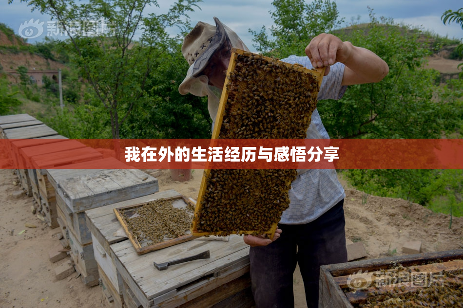 我在外的生活经历与感悟分享