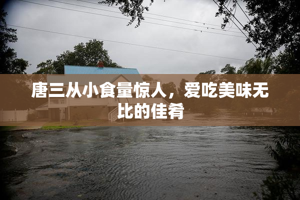 唐三从小食量惊人，爱吃美味无比的佳肴