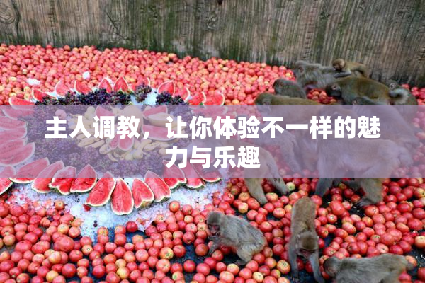 主人调教，让你体验不一样的魅力与乐趣