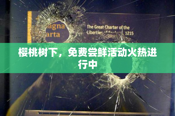 樱桃树下，免费尝鲜活动火热进行中