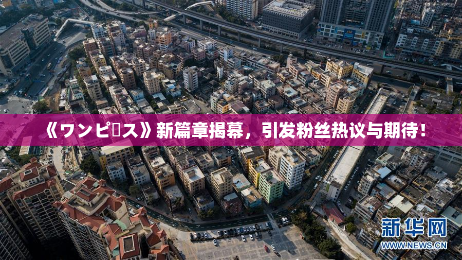 《ワンピース》新篇章揭幕，引发粉丝热议与期待！