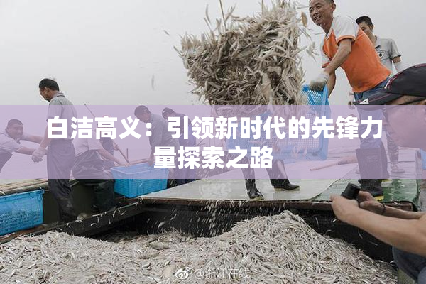 白洁高义：引领新时代的先锋力量探索之路