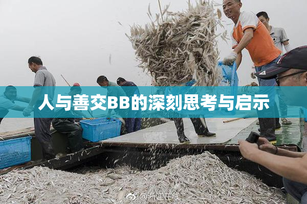 人与善交BB的深刻思考与启示