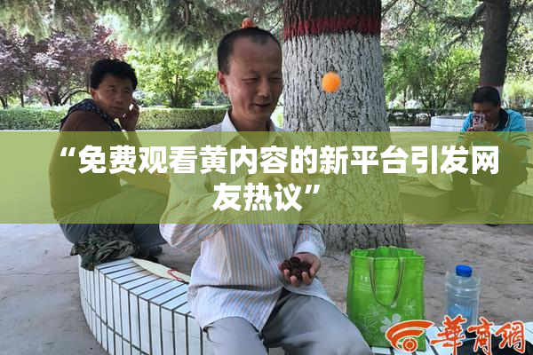 “免费观看黄内容的新平台引发网友热议”
