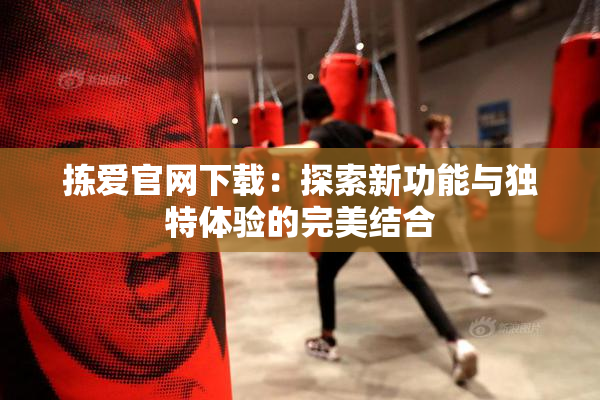 拣爱官网下载：探索新功能与独特体验的完美结合