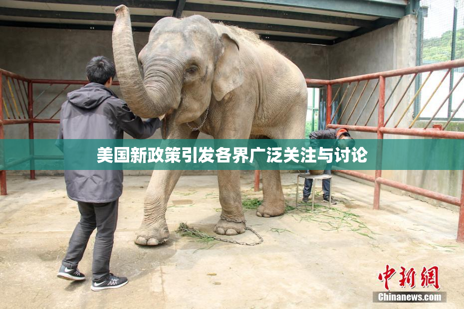 美国新政策引发各界广泛关注与讨论