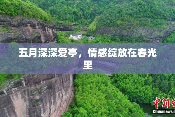 五月深深爱亭，情感绽放在春光里