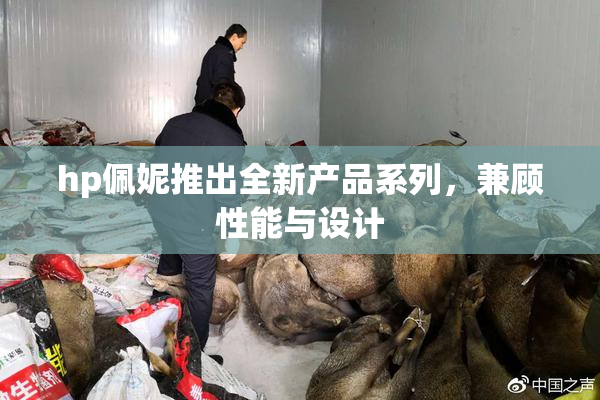 hp佩妮推出全新产品系列，兼顾性能与设计