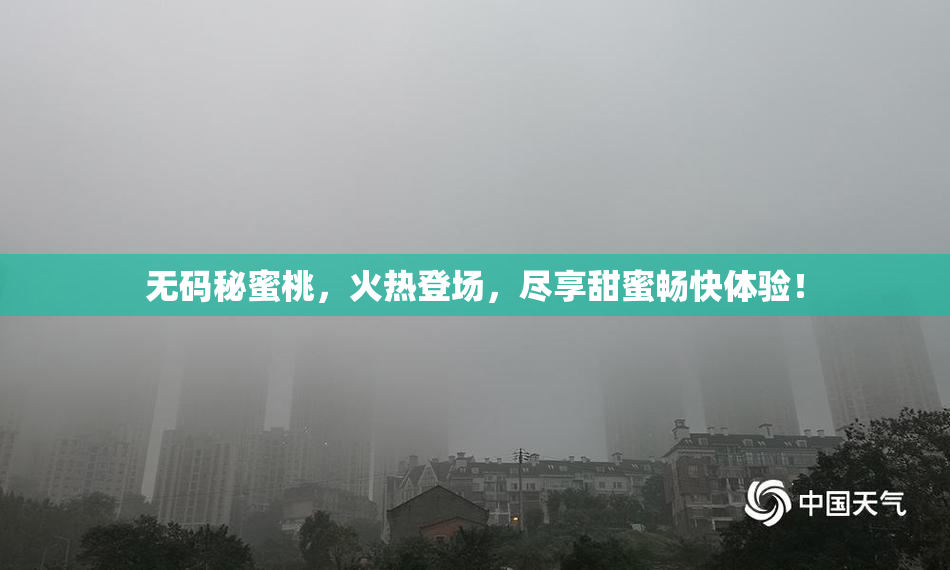 无码秘蜜桃，火热登场，尽享甜蜜畅快体验！