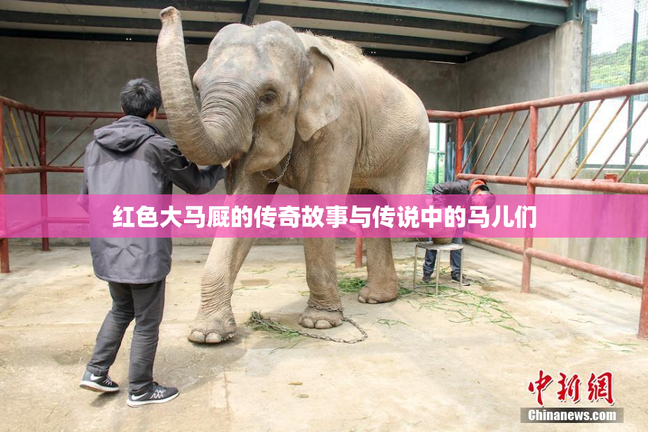 红色大马厩的传奇故事与传说中的马儿们
