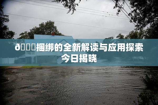 🔞捆绑的全新解读与应用探索今日揭晓