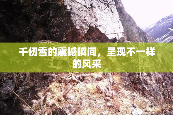 千仞雪的震撼瞬间，呈现不一样的风采