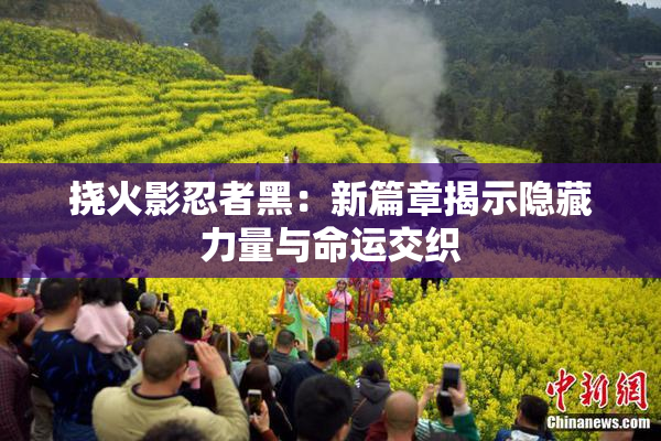 挠火影忍者黑：新篇章揭示隐藏力量与命运交织