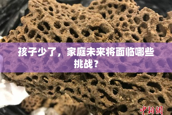 孩子少了，家庭未来将面临哪些挑战？