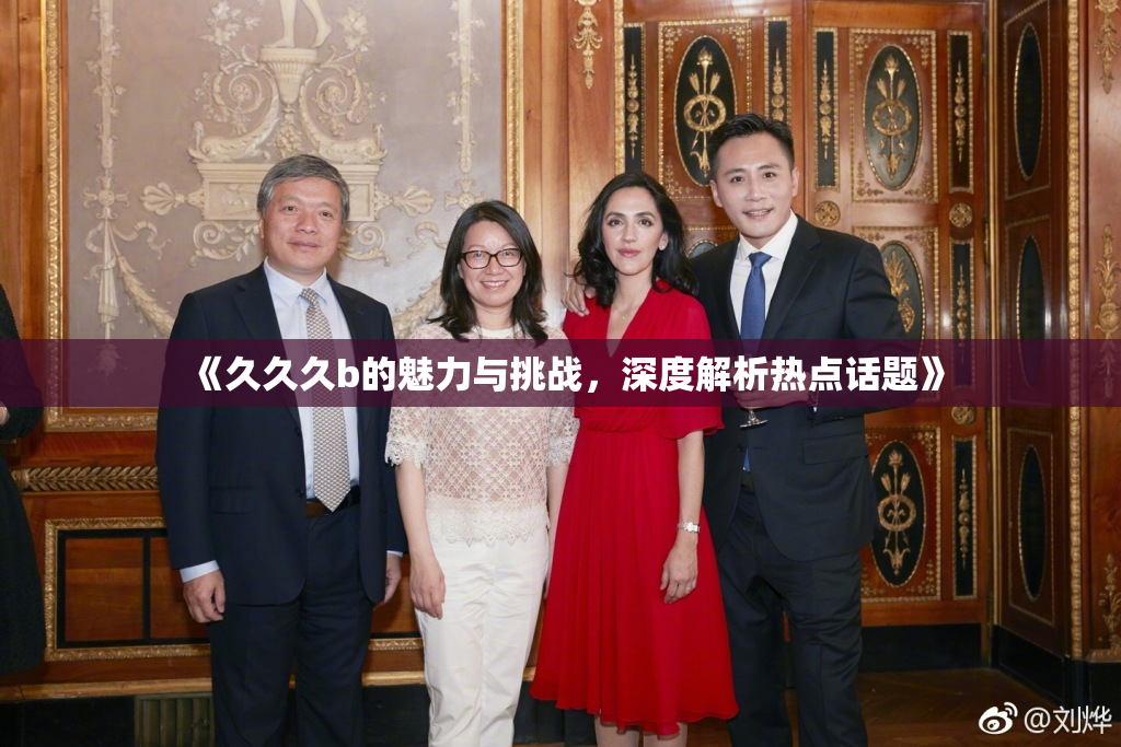 《久久久b的魅力与挑战，深度解析热点话题》