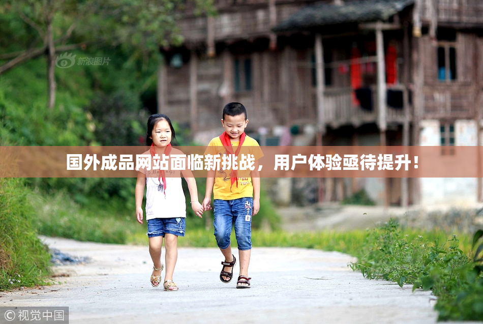 国外成品网站面临新挑战，用户体验亟待提升！